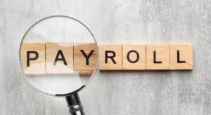Best Payroll Software for Accountants in 2025: Top Picks & Features